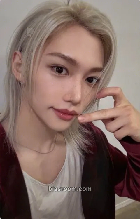 Felix DominATE World Tour Photocard - Stray Kids - Stray Kids K-pop photocard