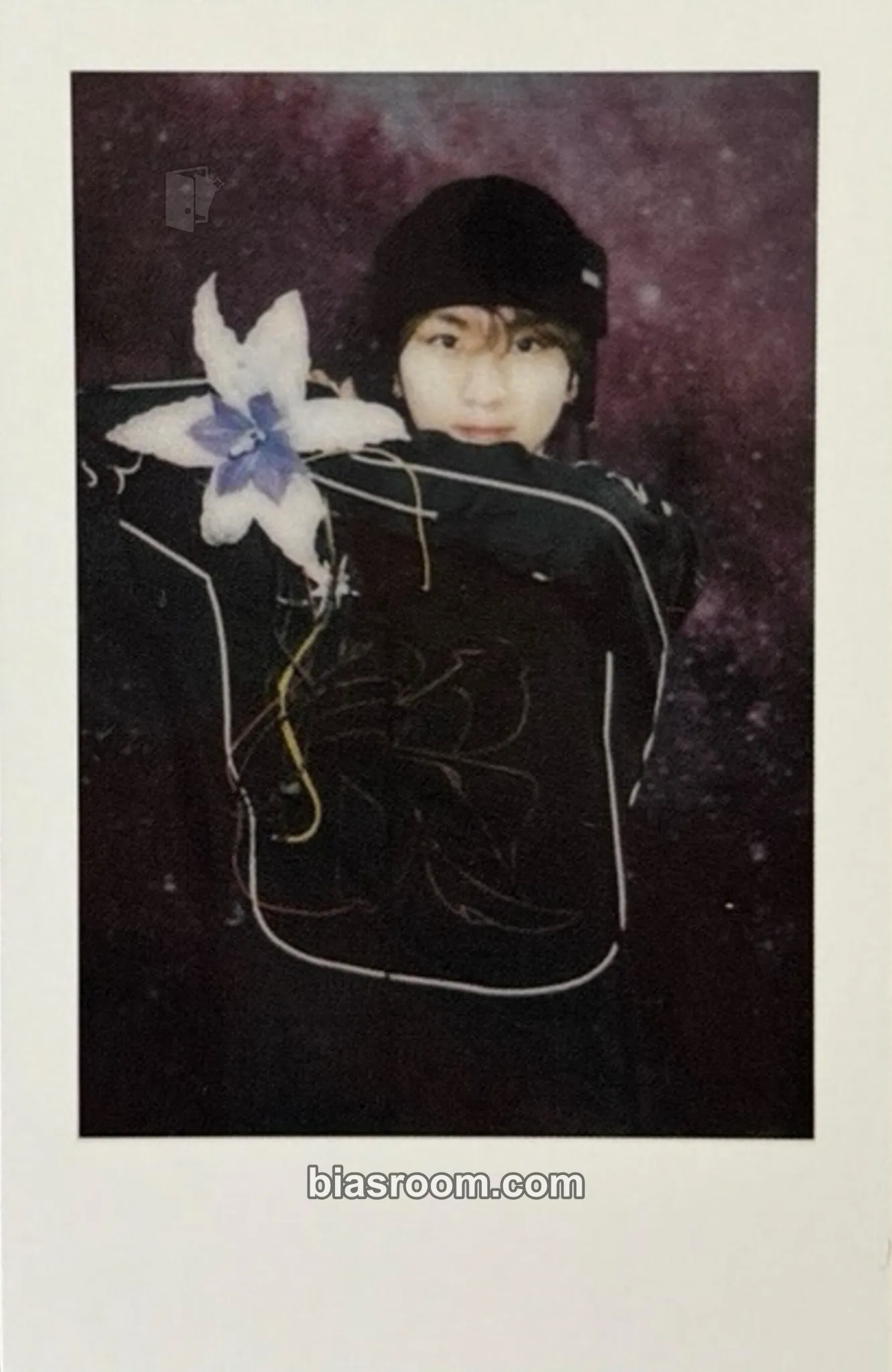Jungwon 2024 GGU GGU Package Photocard - ENHYPEN - ENHYPEN K-pop photocard