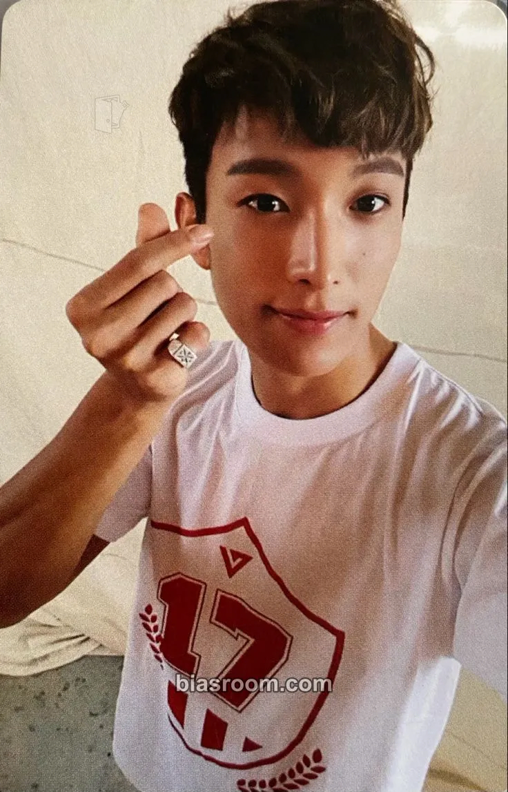 DK Going Seventeen Photocard - SEVENTEEN - SEVENTEEN K-pop photocard