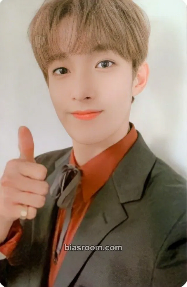 DK An Ode Photocard - SEVENTEEN - SEVENTEEN K-pop photocard