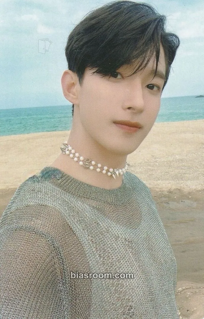 DK Attacca Photocard - SEVENTEEN - SEVENTEEN K-pop photocard