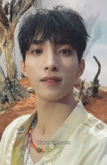 DK Face the Sun Photocard - SEVENTEEN - SEVENTEEN K-pop photocard