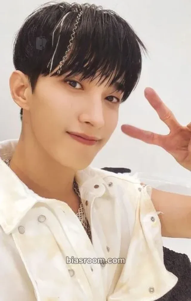 SEVENTEEN - DK - Face the Sun Album album photocard pioneer version