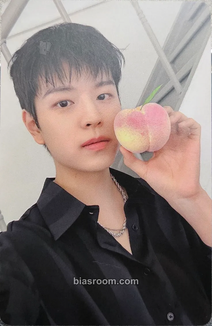 Seungmin DICON Volume N°21 Photocard - Stray Kids - Stray Kids K-pop photocard