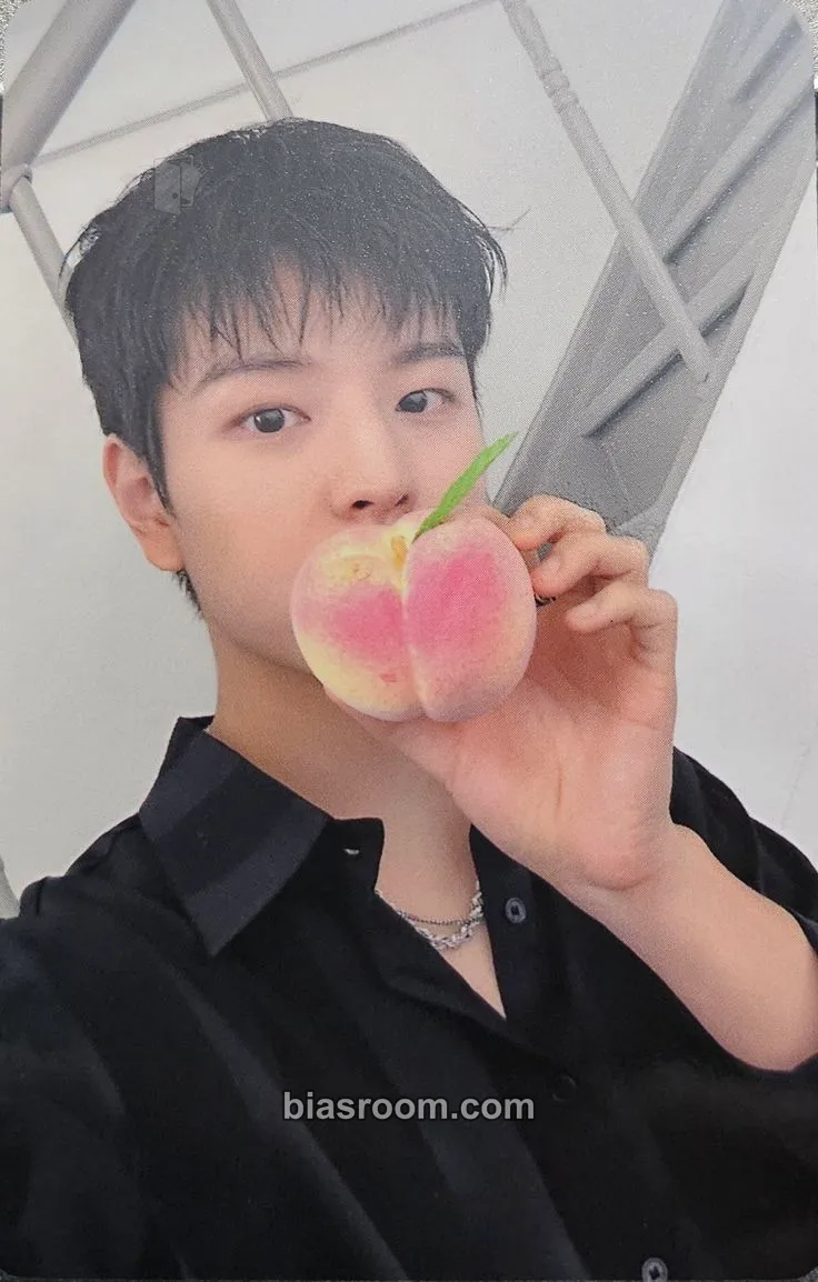 Seungmin DICON Volume N°21 Photocard - Stray Kids - Stray Kids K-pop photocard
