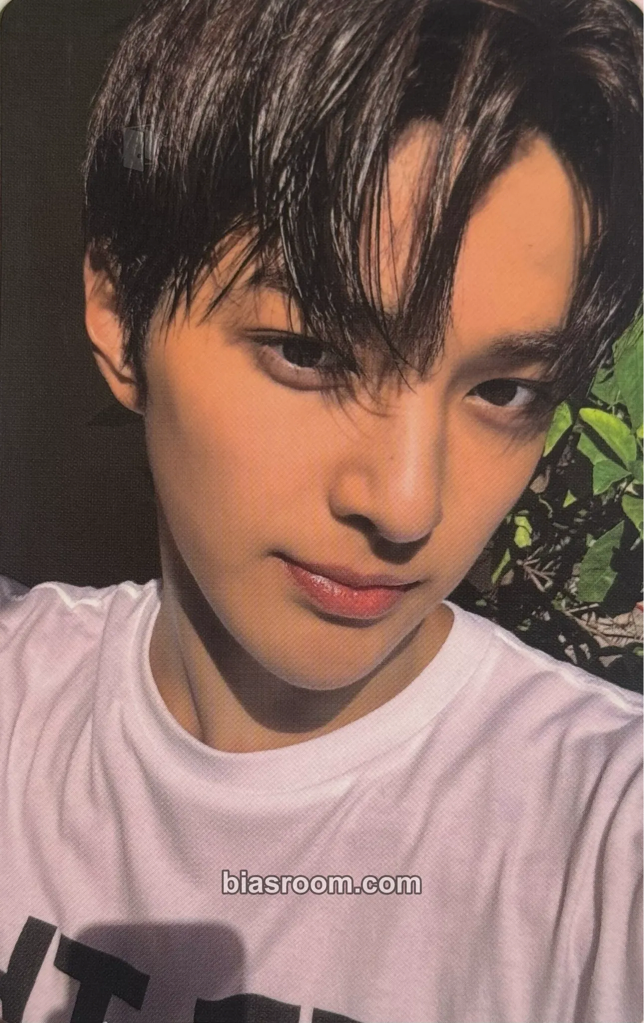 Keonho COLOR OUTSIDE THE LINES Photocard - CORTIS - CORTIS K-pop photocard