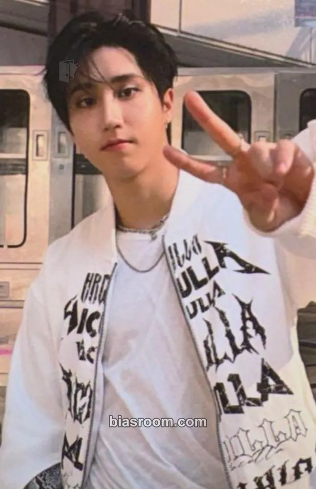 HAN Do It Photocard - Stray Kids - Stray Kids K-pop photocard