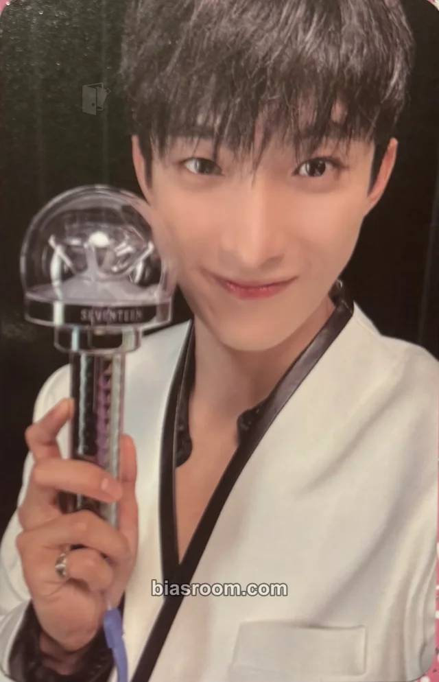 SEVENTEEN - DK - [RIGHT HERE] World Tour Event carat zone
