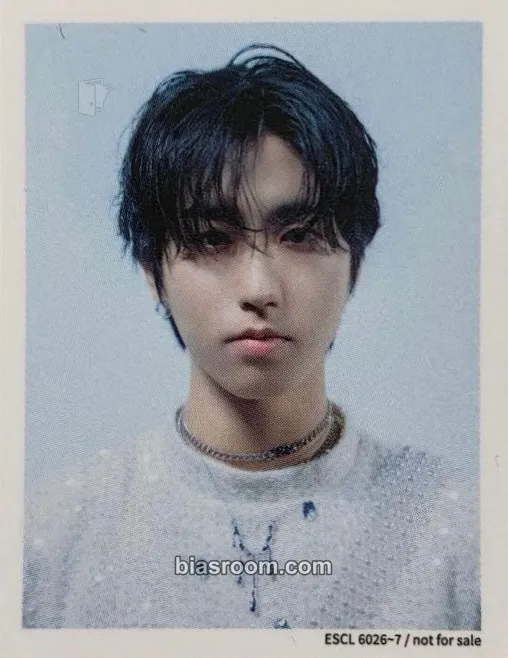 HAN GIANT Photocard - Stray Kids - Stray Kids K-pop photocard