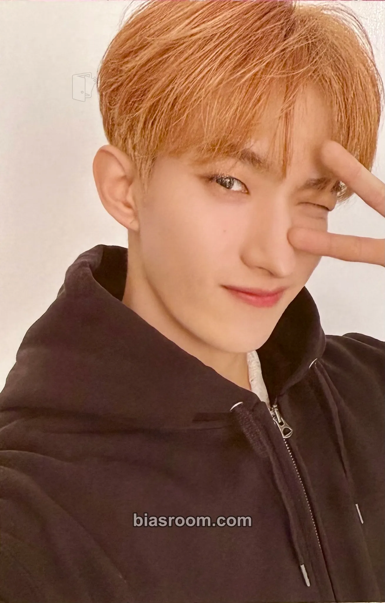 DK 'CONNECT' 8TH Anniversary Merch Photocard - SEVENTEEN - SEVENTEEN K-pop photocard