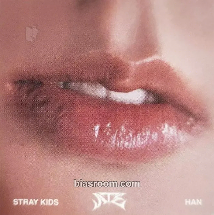 HAN ATE Photocard - Stray Kids - Stray Kids K-pop photocard