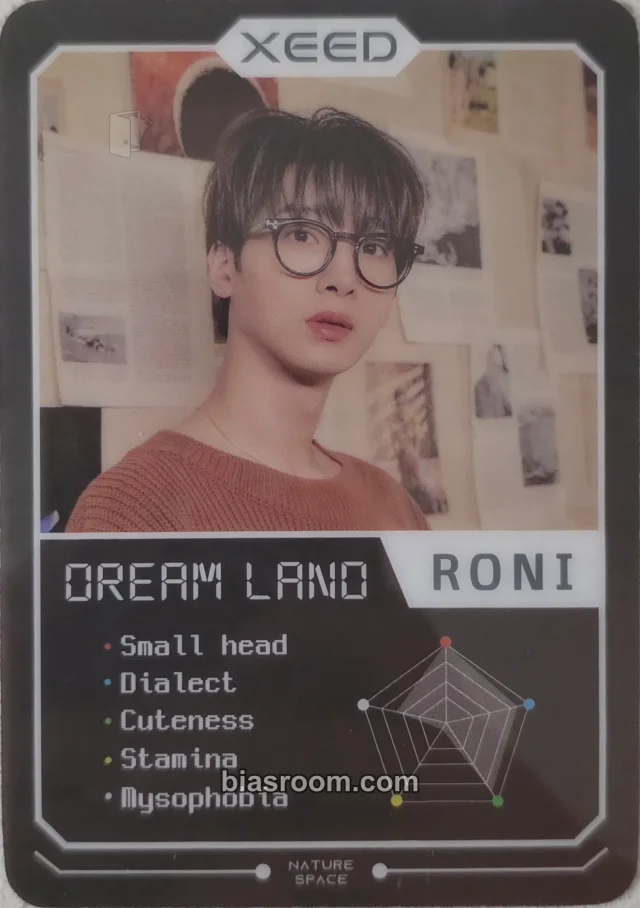 XD - RONI - Dream land Album album photocard