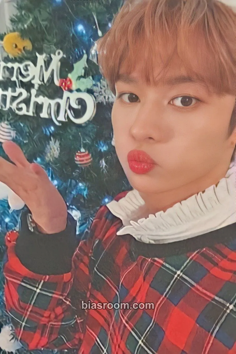 Lee Know Christmas EveL Photocard - Stray Kids - Stray Kids K-pop photocard