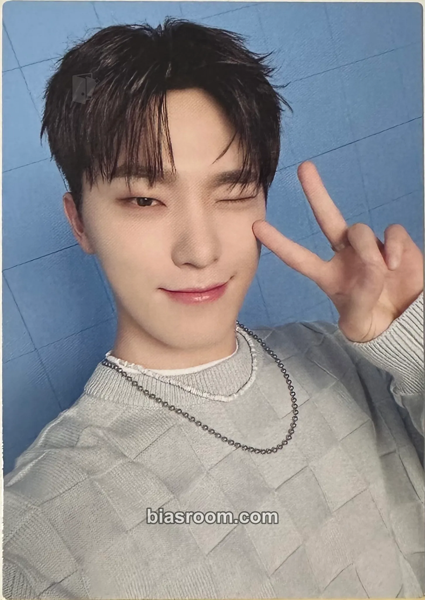 Dino 2024 Seventeen’s Home Merchandise Photocard - SEVENTEEN - SEVENTEEN K-pop photocard