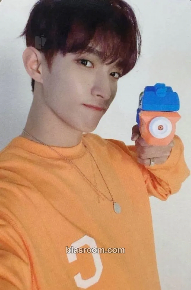 DK 2020 Season's Greetings Photocard - SEVENTEEN - SEVENTEEN K-pop photocard
