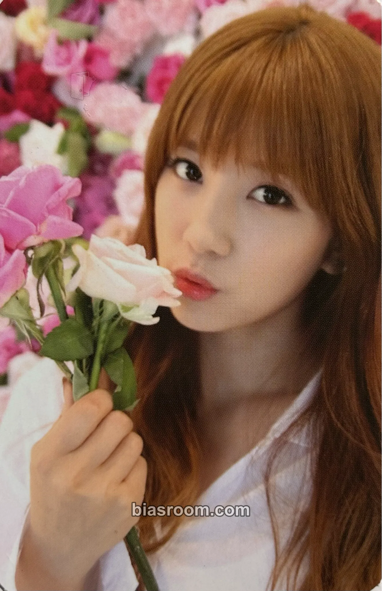 Chorong Secret Garden Photocard - Apink - Apink K-pop photocard