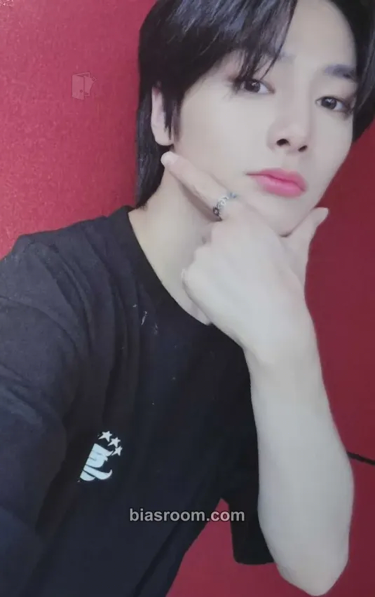 I.N 5-STAR Photocard - Stray Kids - Stray Kids K-pop photocard
