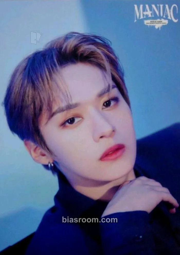 Lee Know Maniac World Tour Photocard - Stray Kids - Stray Kids K-pop photocard