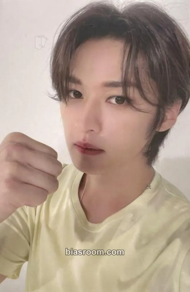 Lee Know 5-STAR Photocard - Stray Kids - Stray Kids K-pop photocard