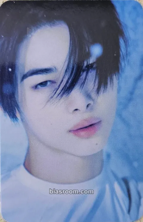 Ni-ki ROMANCE: UNTOLD-DAYDREAM- Photocard - ENHYPEN - ENHYPEN K-pop photocard