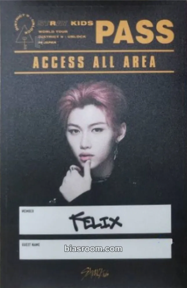 Felix World Tour “District 9 : Unlock” Photocard - Stray Kids - Stray Kids K-pop photocard