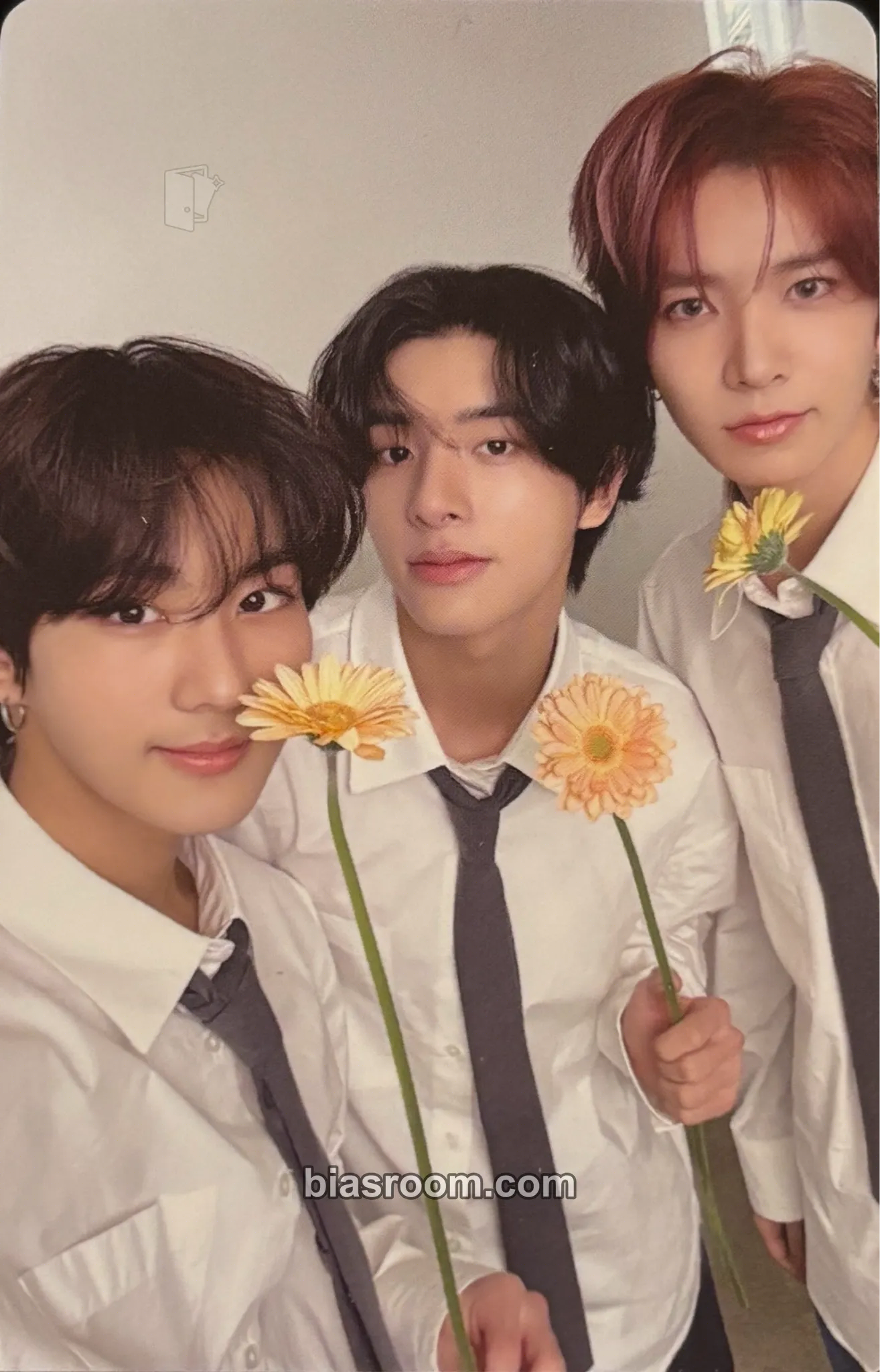 ENHYPEN DICON VOLUME N°19 tw(EN-)ty years old Photocard - ENHYPEN - ENHYPEN K-pop photocard