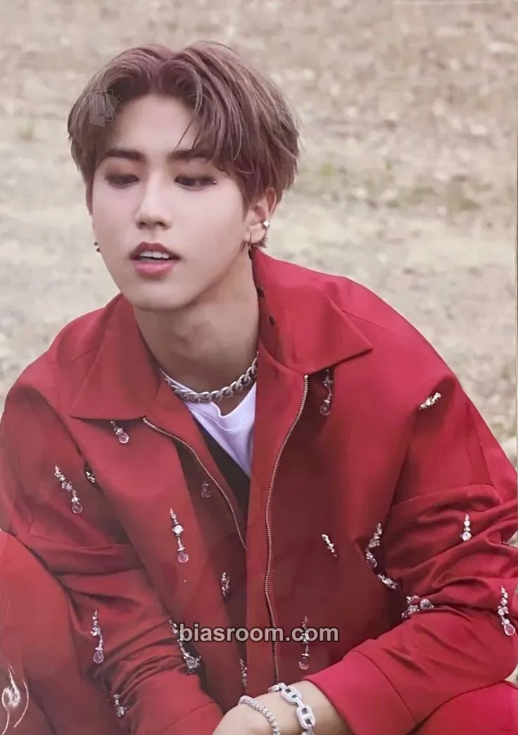 HAN NoEasy Photocard - Stray Kids - Stray Kids K-pop photocard