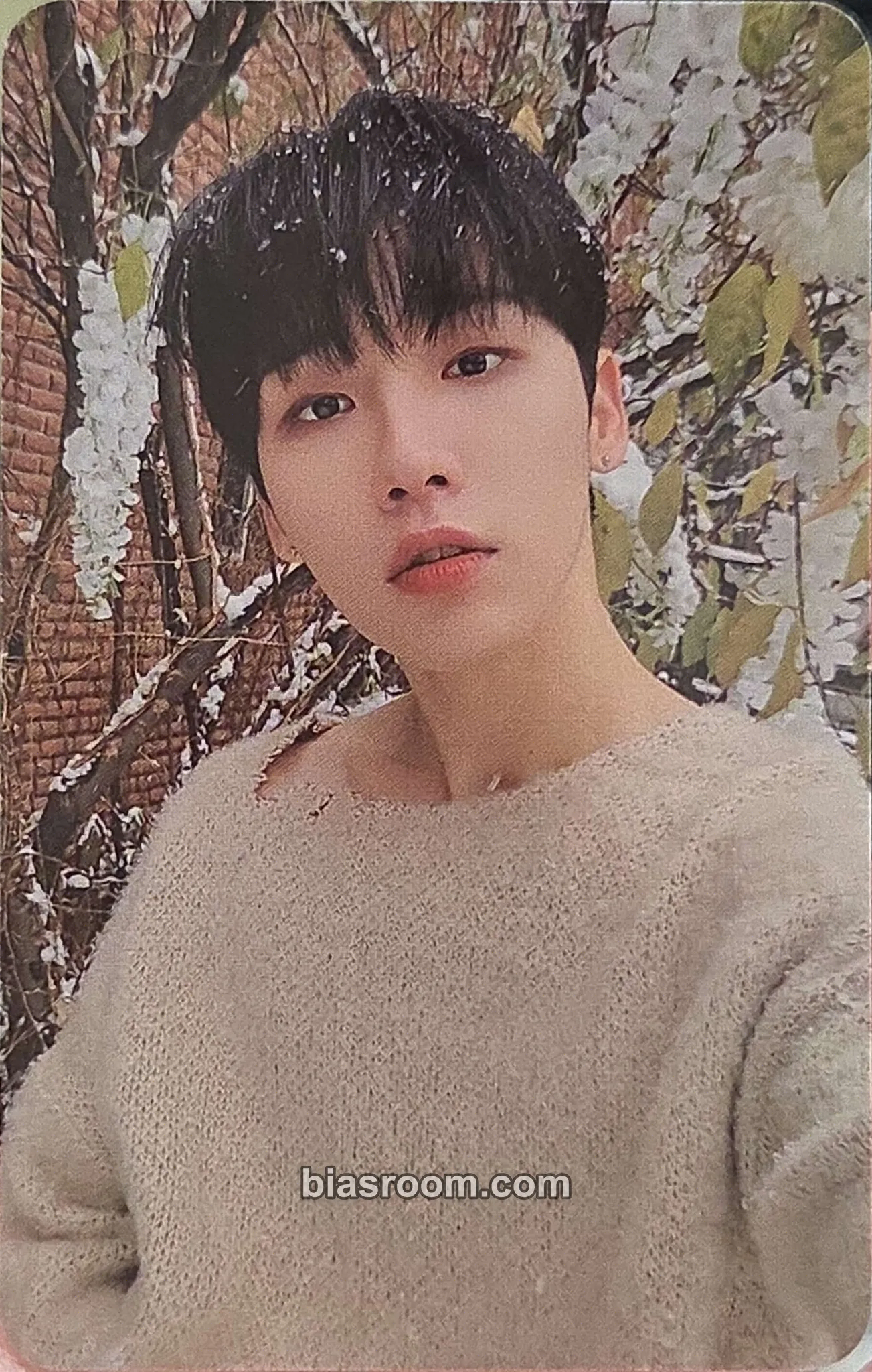 Woong SALUTE : A NEW HOPE Photocard - AB6IX - AB6IX K-pop photocard