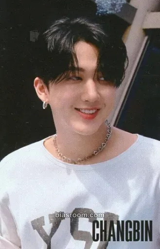 Changbin Maxident Photocard - Stray Kids - Stray Kids K-pop photocard