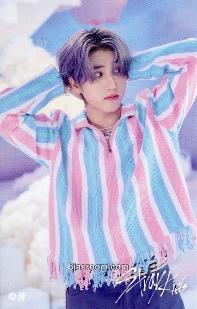HAN 5-Star Dome Tour 2023 Photocard - Stray Kids - Stray Kids K-pop photocard