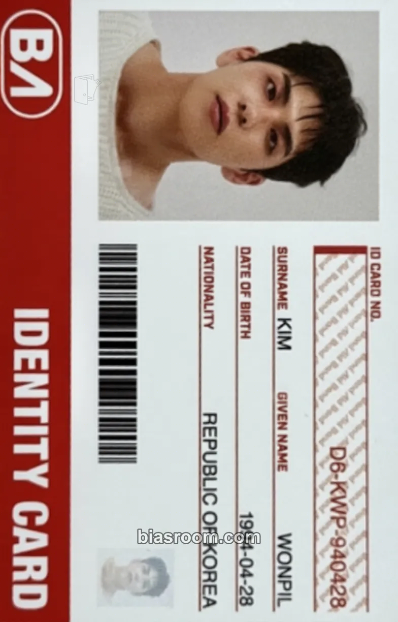 Wonpil Band Aid Photocard - DAY6 - DAY6 K-pop photocard