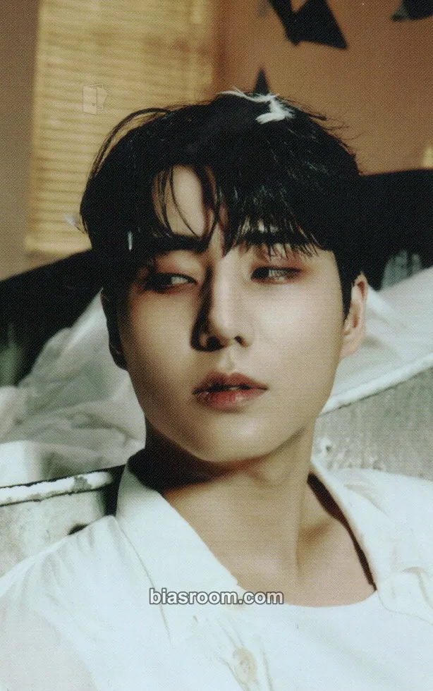 Young K Band Aid Photocard - DAY6 - DAY6 K-pop photocard
