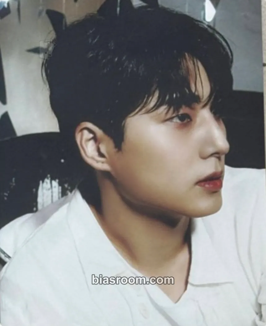 Young K Band Aid Photocard - DAY6 - DAY6 K-pop photocard