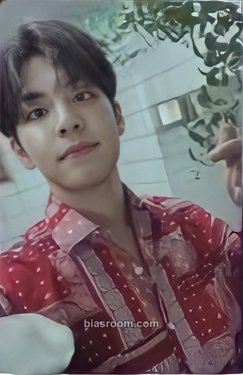 Wonpil Right Through Me Photocard - DAY6 - DAY6 K-pop photocard