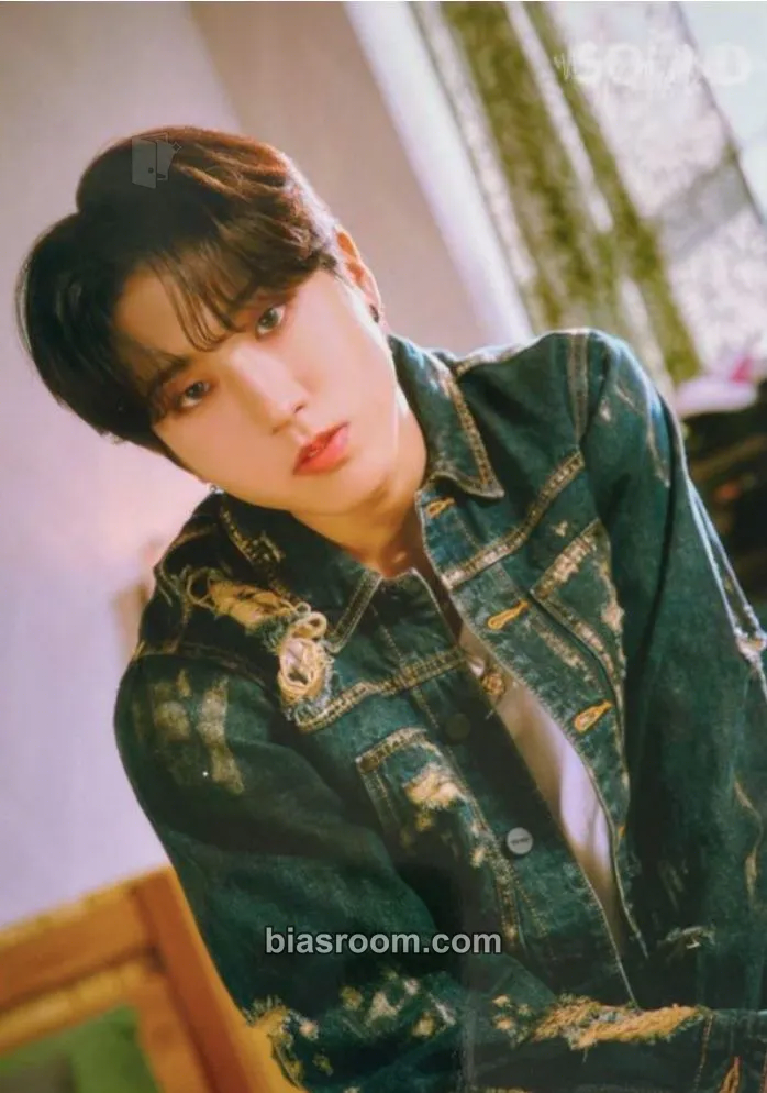 HAN The Sound Photocard - Stray Kids - Stray Kids K-pop photocard