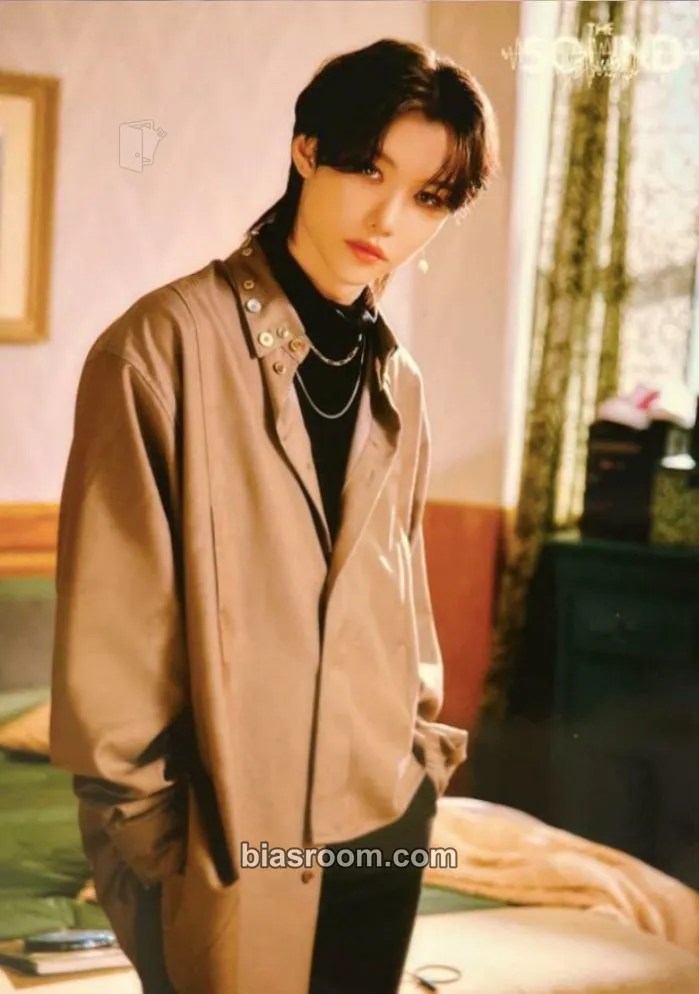 Felix The Sound Photocard - Stray Kids - Stray Kids K-pop photocard