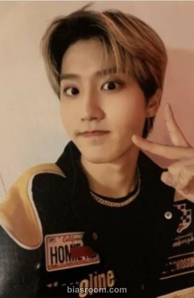 HAN GO LIVE Photocard - Stray Kids - Stray Kids K-pop photocard