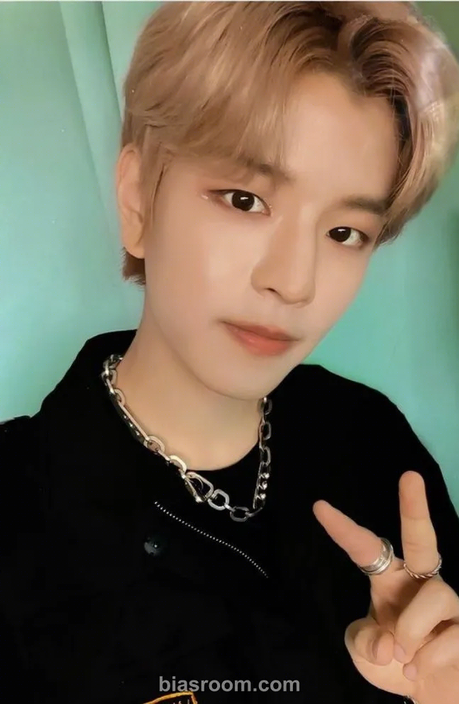 Seungmin GO LIVE Photocard - Stray Kids - Stray Kids K-pop photocard