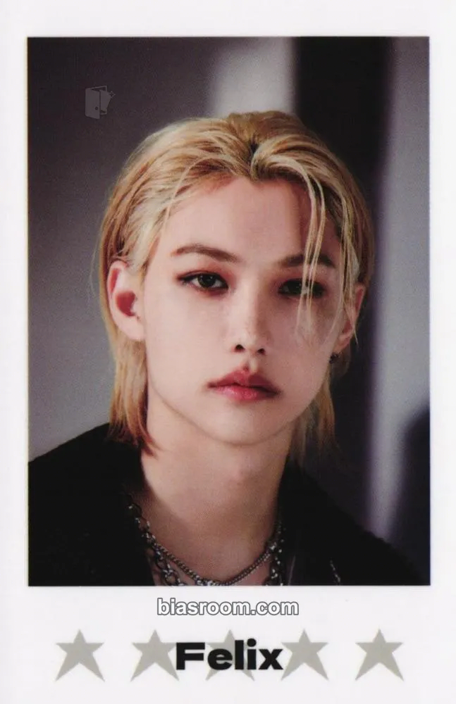 Felix 5-Star Dome Tour 2023 Photocard - Stray Kids - Stray Kids K-pop photocard