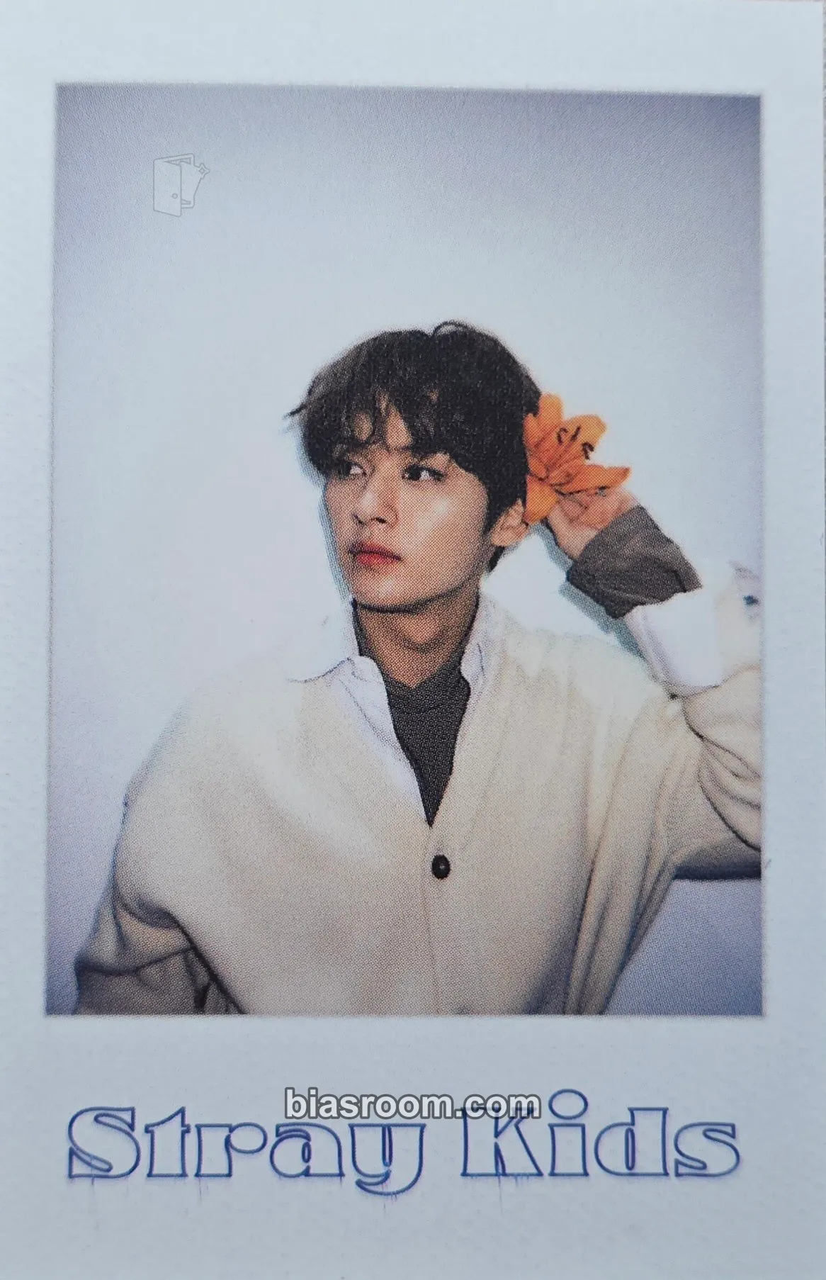 Lee Know 2022 Season's Greetings - Room,mates Photocard - Stray Kids - Stray Kids K-pop photocard