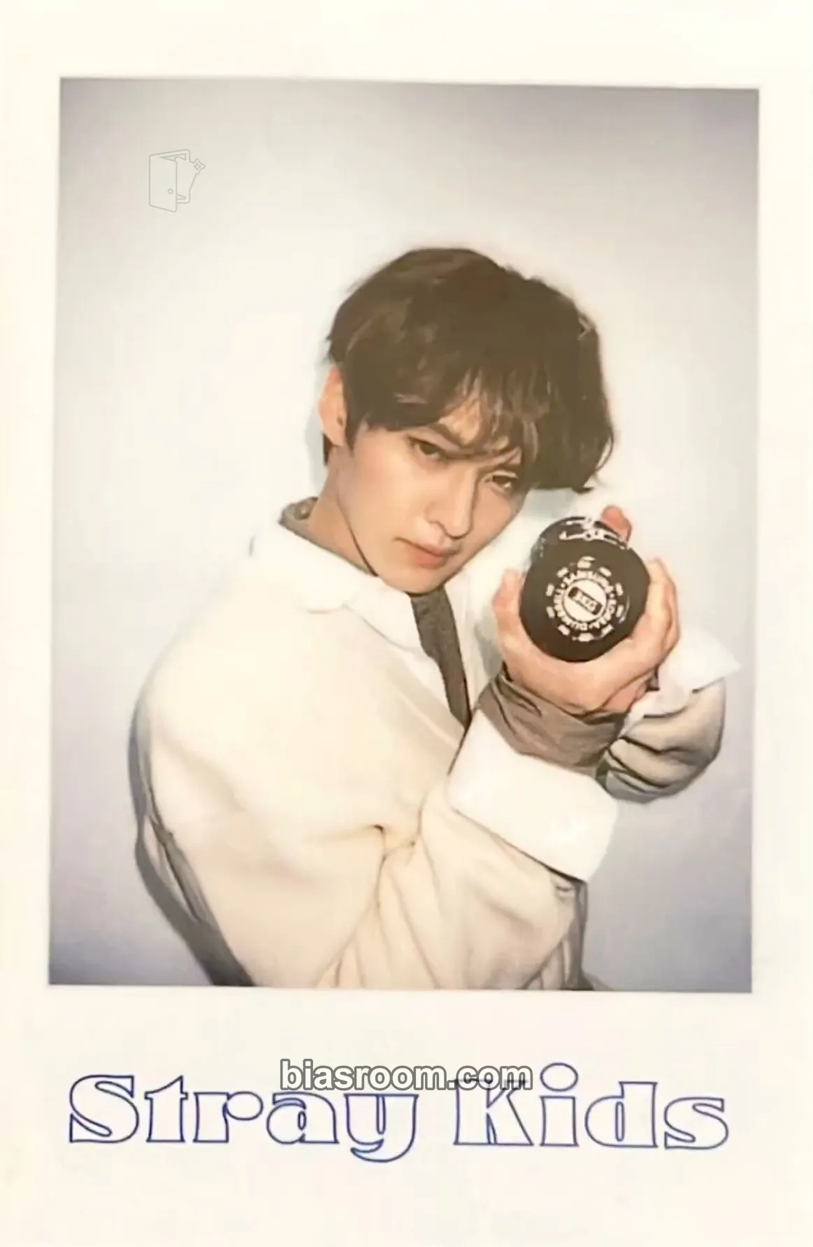 Lee Know 2022 Season's Greetings - Room,mates Photocard - Stray Kids - Stray Kids K-pop photocard