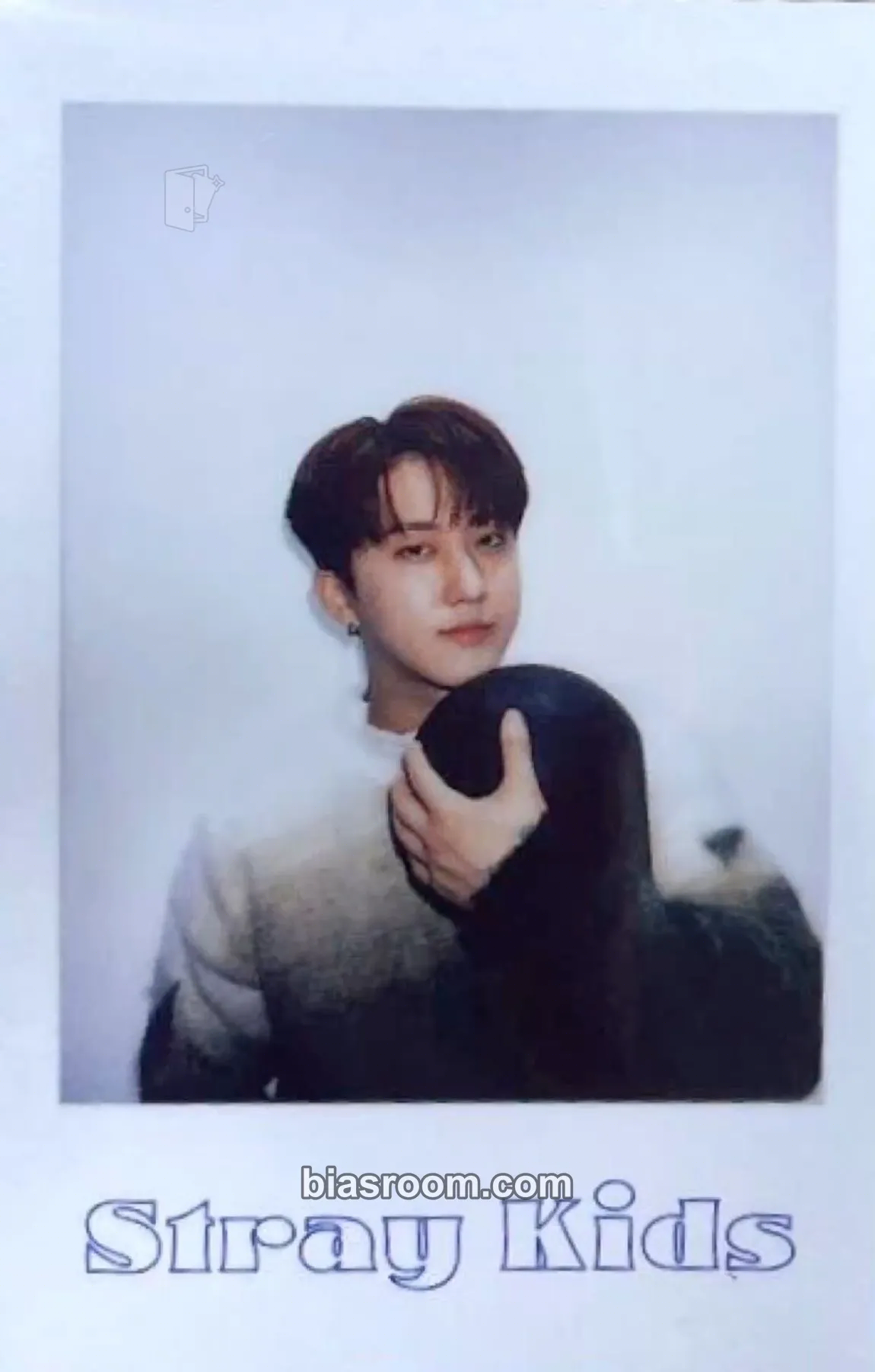 Changbin 2022 Season's Greetings - Room,mates Photocard - Stray Kids - Stray Kids K-pop photocard