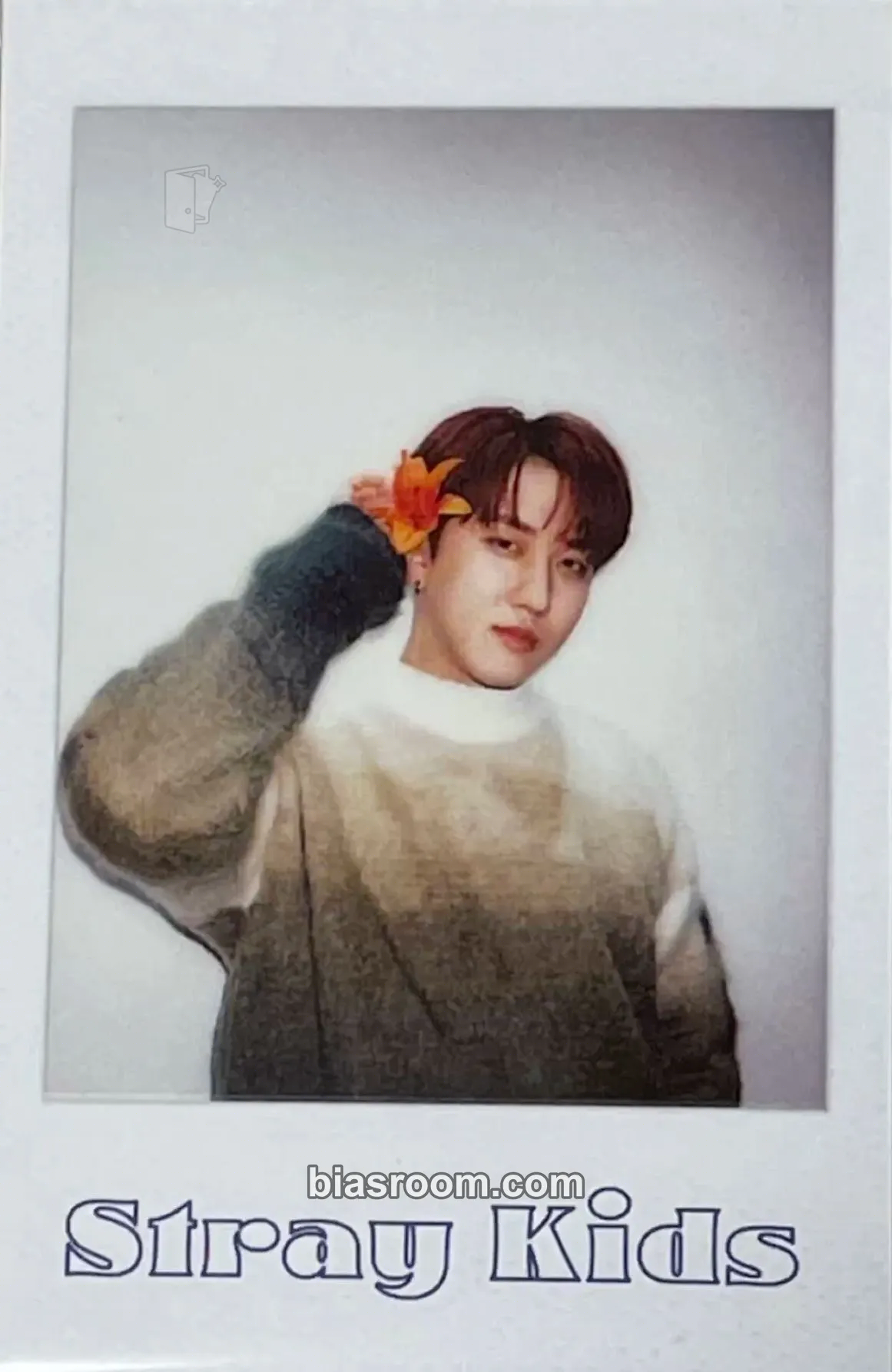 Changbin 2022 Season's Greetings - Room,mates Photocard - Stray Kids - Stray Kids K-pop photocard