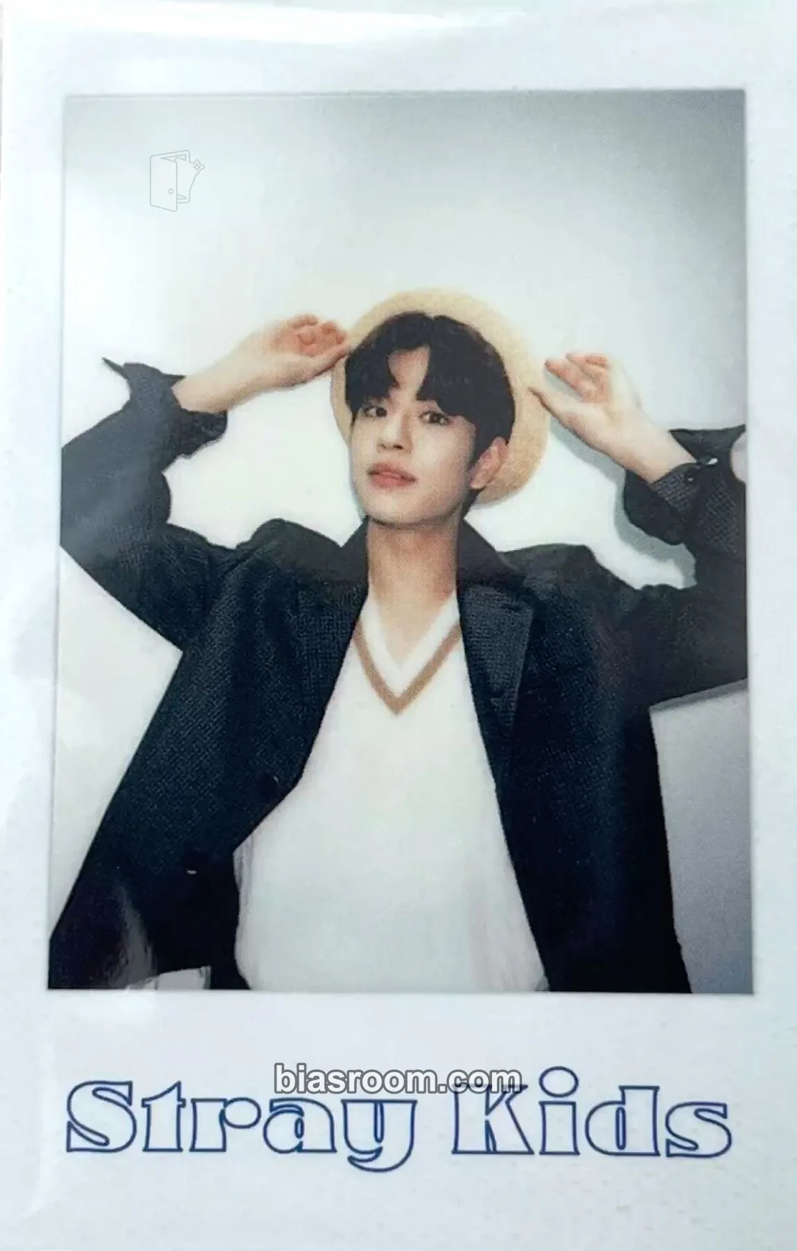 Seungmin 2022 Season's Greetings - Room,mates Photocard - Stray Kids - Stray Kids K-pop photocard