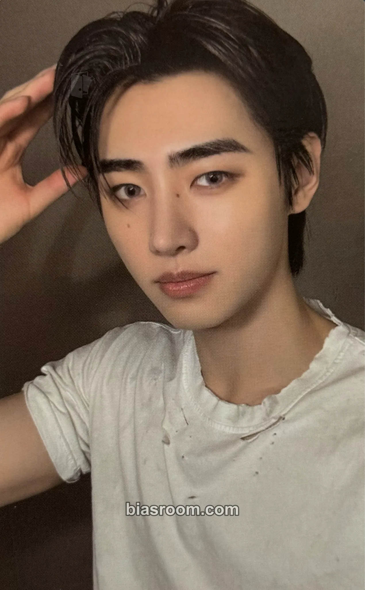 Sunghoon DESIRE: UNLEASH Photocard - ENHYPEN - ENHYPEN K-pop photocard