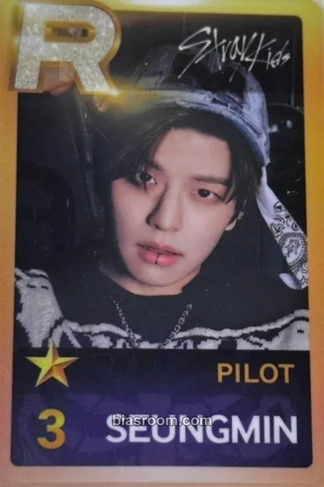 Stray Kids - Seungmin - 3rd Fanmeeting - Pilot for 5 Star Event superstar mission card pvc card FPO