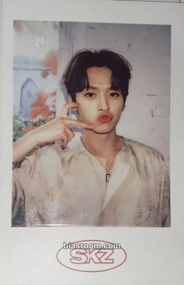 Stray Kids - Lee Know - 2021 Season's Greetings Other pre-order benefit (pob) polaroid