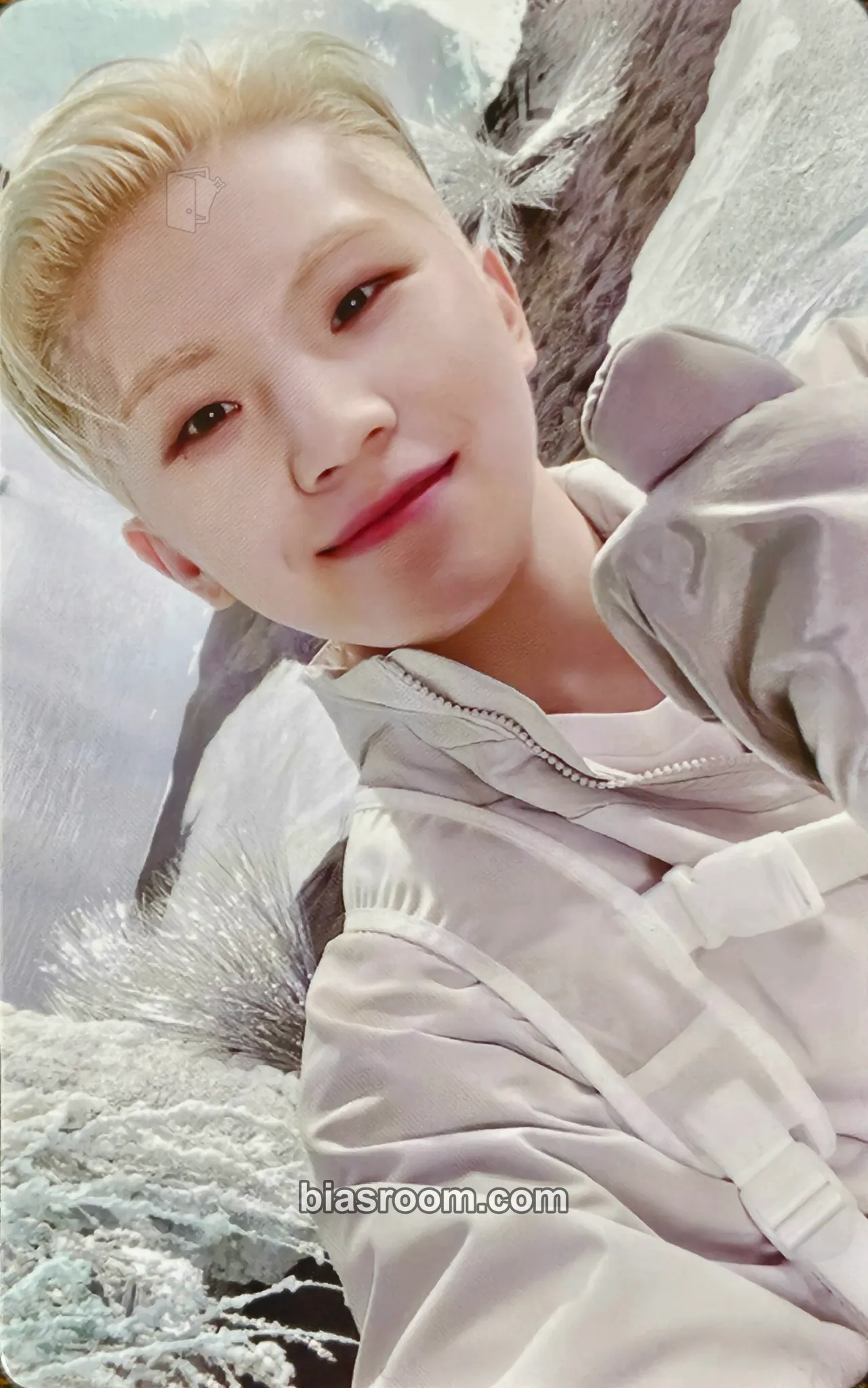 Woozi SECTOR 17 Photocard - SEVENTEEN - SEVENTEEN K-pop photocard