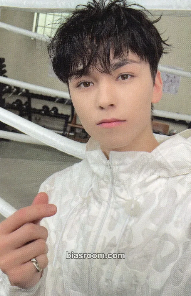 Vernon FML Photocard - SEVENTEEN - SEVENTEEN K-pop photocard