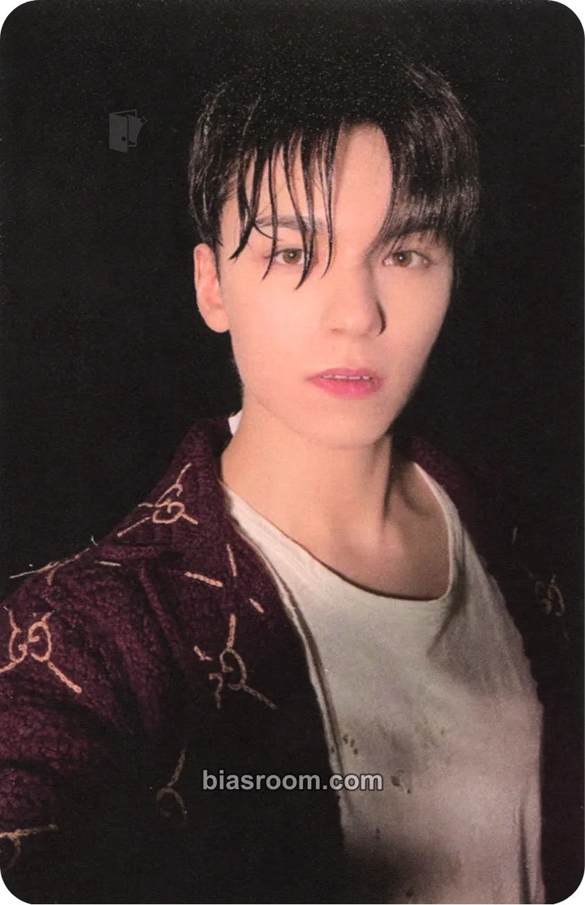 Vernon FML Photocard - SEVENTEEN - SEVENTEEN K-pop photocard